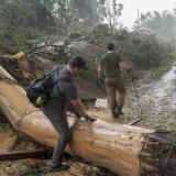 Des volontaires recherchent des personnes disparues le long des rives de la rivière Guadalupe. KEYSTONE/AP/Rodolfo Gonzalez